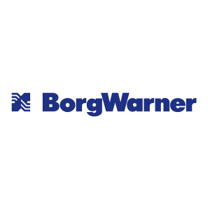 Логотип BORGWARNER