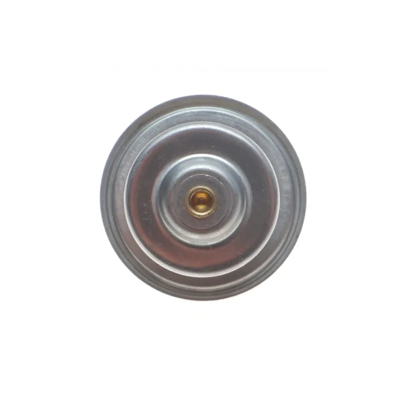 Термостат AIC 51177 для Volkswagen Golf, Passat, Skoda Fabia, Octavia 87°C з ущільнювальним кільцем