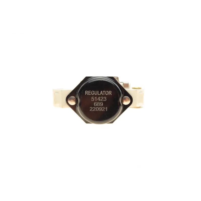 Реле генератора (14.5V) VW Caddy 1.9TDI/SDI 95-04