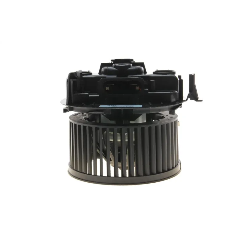Моторчик пічки AIC 53772 для Renault Megane II 1.5/1.9 dCi 2003-2009, 12V 250W