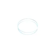 Кільце ABS переднє AIC 54206 для Ford Galaxy, VW Sharan, Seat Alhambra, 79 мм