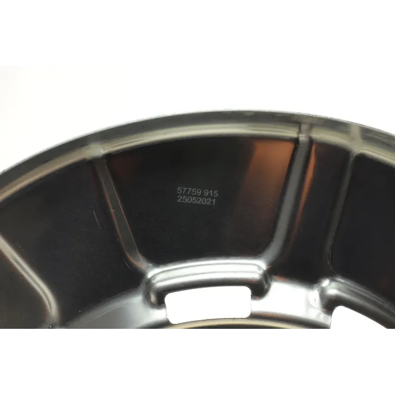 Захист диска гальмівного (заднього) BMW X5 (E70/F15/F85)/X6 (E71/E72) 06-