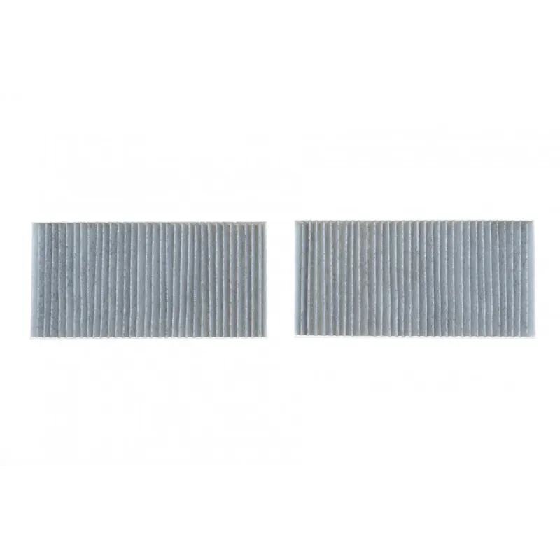 Фільтр салону BMW 2 (F44/F45/F46) 14-16/X1 (F48) 15-16/i3 (I01)/Mini Mini 13-16 (к-кт 2шт) (вугільний)