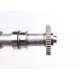 Розподільний вал VW Caddy III/IV/ T5/T6/ Crafter 30-50 2.0 TDI 10- (сторона випуску) (стальної)