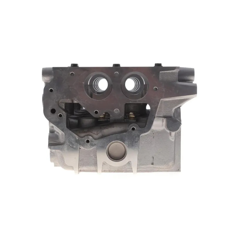 Головка блоку циліндрів AMC 908505 для Nissan Almera N16, Primera P12, X-Trail T30 2.2 dCi