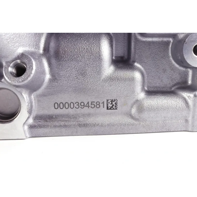Головка блоку циліндрів Citroen Berlingo/Peugeot Partner 1.6HDI 05-