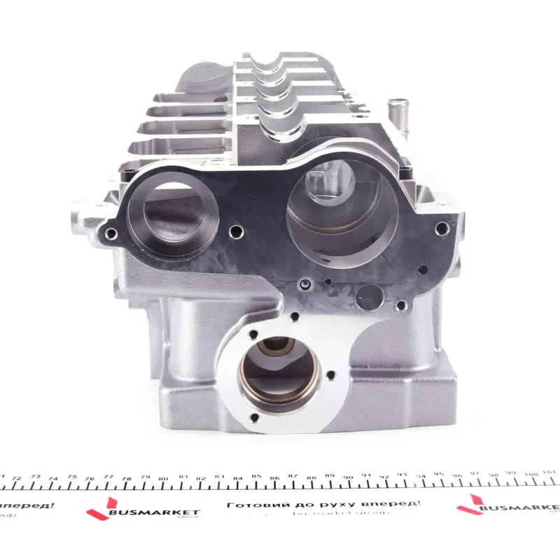 Головка блоку циліндрів VW T5 2.5TDI 03-