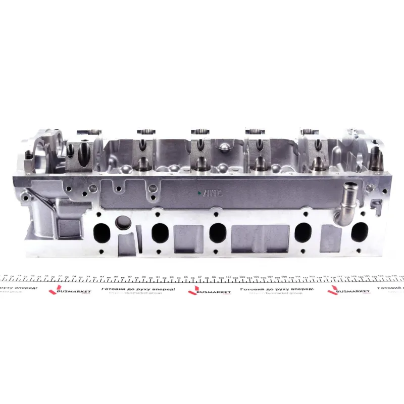 Головка блоку циліндрів VW T5 2.5TDI 03-