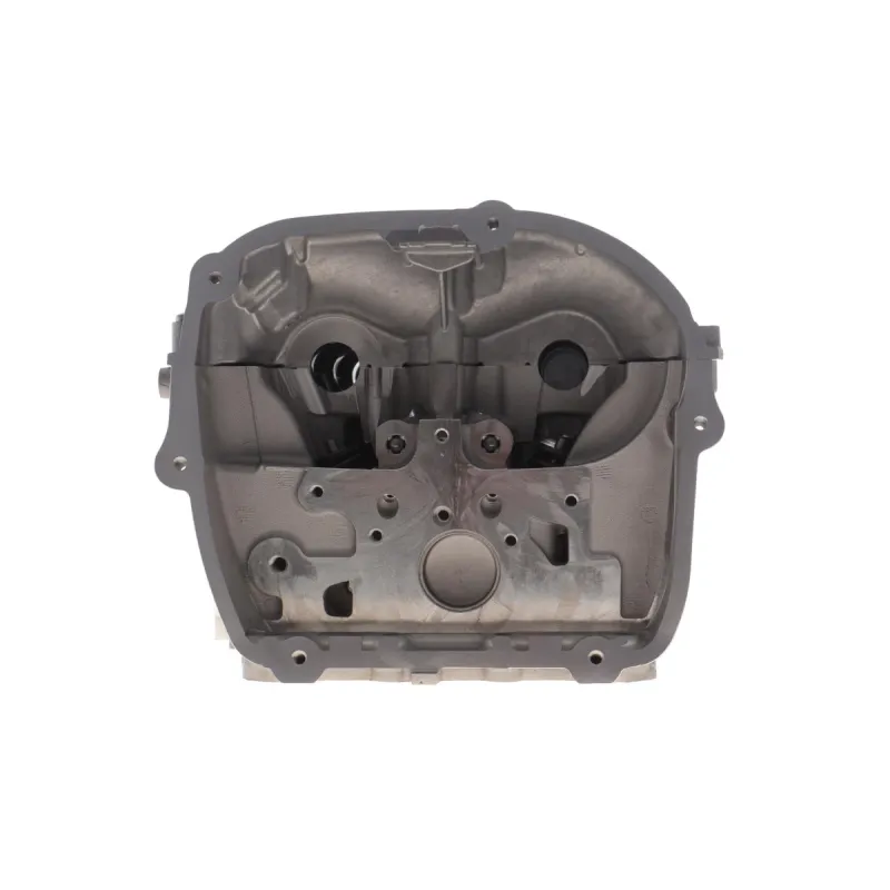 Головка блоку циліндрів (з клапанами) VW Golf 2.0 GTI/R 13-/Audi A3/S3 2.0 TFSI 12- (gen III)
