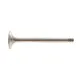 Клапан (випуск) VW LT 28-35/40-55 2.4D/VW T3 1.6D -96 (31.2x8x104.6) (азотований)
