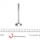 Клапан впускний AMP PAUD031-S-0-N (32x7x95.5) для Audi A4, A6, VW Passat