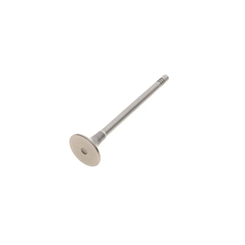 Клапан (випуск) Citroen Berlingo/Peugeot Partner 1.6HDi 16V 06- (23.4x5.5x96.6) (азотований)