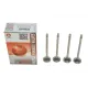 Клапан випускний AMP PCIT081-A-0-N для Citroen C4, Peugeot Expert, Fiat Scudo 2.0D/2.2D 16V (25x6x105) азотований