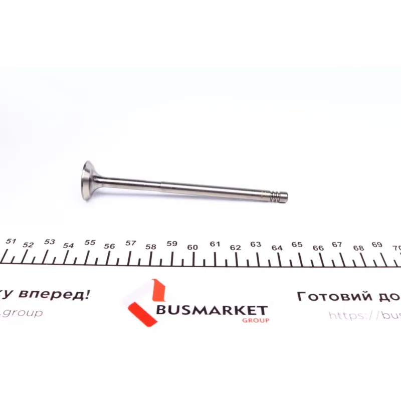 Клапан (впуск) Fiat Doblo/Idea/Panda/Punto 1.3JTD 16V 04-10 (22x6x109.3) (азотований)