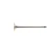 Клапан (випуск) Opel Astra F/G/Vectra A/B/Zafira A 1.4/1.6 95-05 (27.5x6x102.2) (азотований)