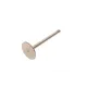 Клапан впускний AMP PVWG033-S-0-N для Volkswagen Caddy II/T4 1.9D 1992-2004 (36x7x95.5) азотований