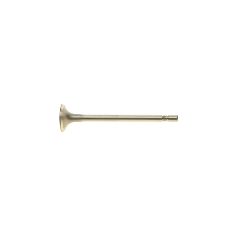 Клапан (випуск) VW Caddy/Golf 1.6-2.0TDI 09- (24,45x6x99,1) (азотований)