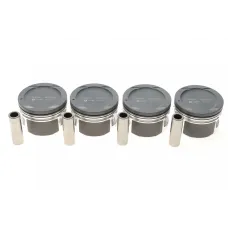 Поршень AMP PX-DAE-4A-3538-000-2 (79.00mm/STD) комплект 4 шт для Daewoo Lanos Nubira 1.6 1997-