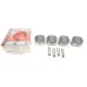 Поршень Dacia Logan/Sandero/Renault Clio/Megane 1.6 8V 96- (80.25mm/+0.75mm) (к-кт 4 шт)