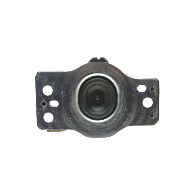 Подушка двигуна (R) Renault Megane II/Scenic II/Dacia Logan 1.5 dCi 02-