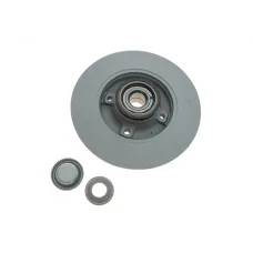 Диск гальмівний (задній) Citroen C3/C4 /Peugeot 207/307 05- (249х9) (+ABS)