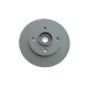 Диск гальмівний (задній) Citroen C3/C4 /Peugeot 207/307 05- (249х9) (+ABS)