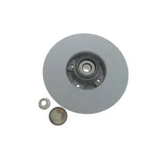 Диск гальмівний задній ATE 24.0110-0325.2 для Renault Scenic II/Megane II 2003-2010 (270x10) (+ABS, з підшипником)