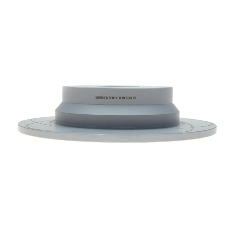 Диск гальмівний (задній) MB E-class (W211/W212/S211/S212) 02- (300x10) PowerDisc