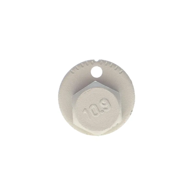 Болт важеля заднього BELGUM PARTS BG2013 для Renault Koleos, Nissan Qashqai, X-Trail