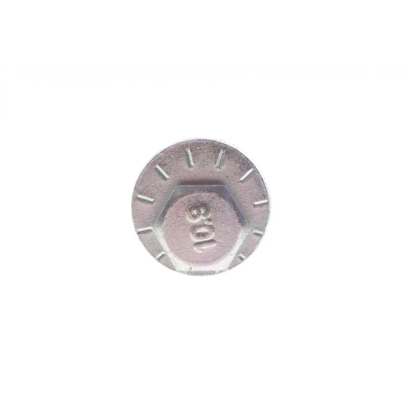 Болт заднього важеля BELGUM PARTS BG2031 для Opel Vectra C 2002-2008