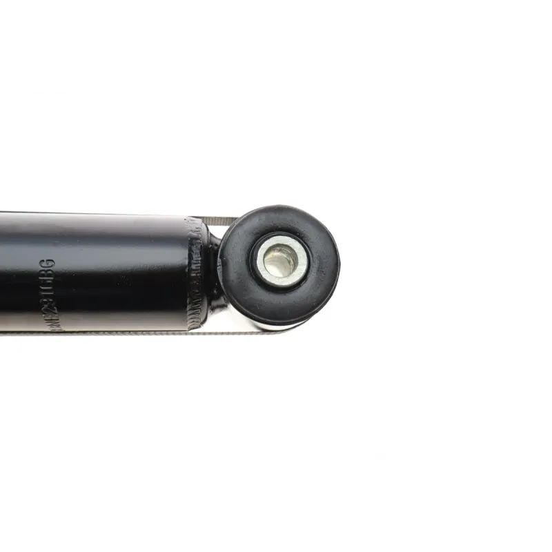 Амортизатор задній BILSTEIN 19-029160 для Volkswagen Bora, Golf IV, Skoda Octavia, Roomster 1997-2010