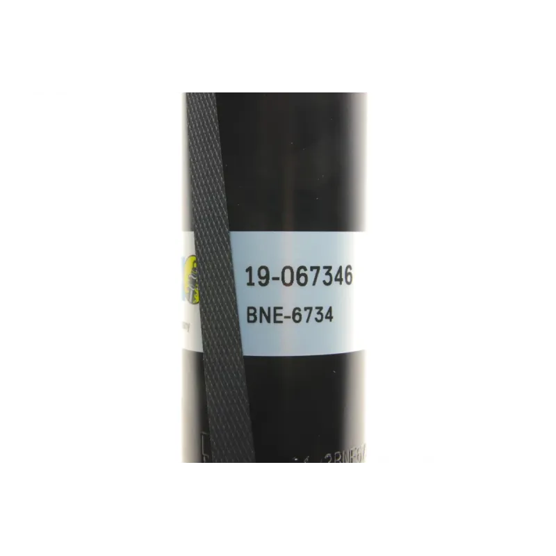 Амортизатор задній BILSTEIN 19-067346 для BMW 5 (E39) 1995-2003, тиск газу