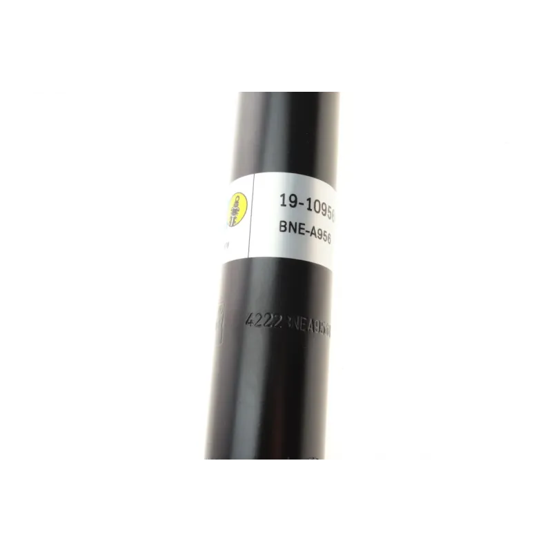 Амортизатор задній BILSTEIN 19-109565 для Renault Clio II 1998-2009