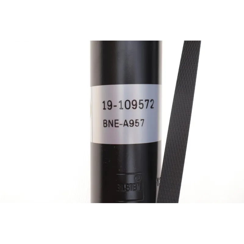Амортизатор задній BILSTEIN 19-109572 для Skoda Fabia 1999-2007, Audi A1, Seat Ibiza