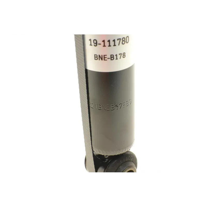 Амортизатор задній BILSTEIN 19-111780 для Ford Fiesta V (JH_, JD_) 2001-2008, Mazda 2 (DY) 2003-