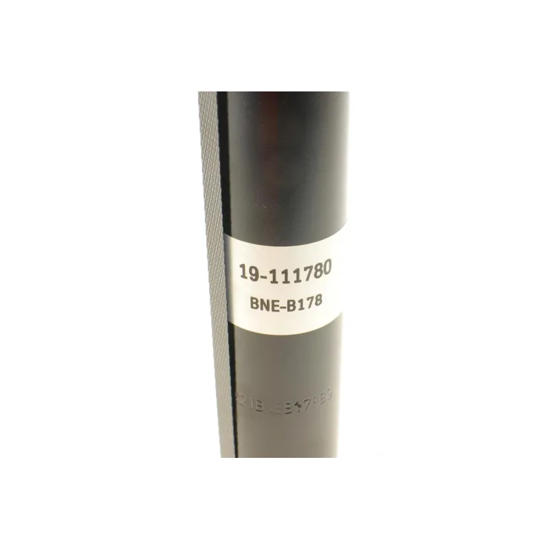 Амортизатор задній BILSTEIN 19-111780 для Ford Fiesta V (JH_, JD_) 2001-2008, Mazda 2 (DY) 2003-
