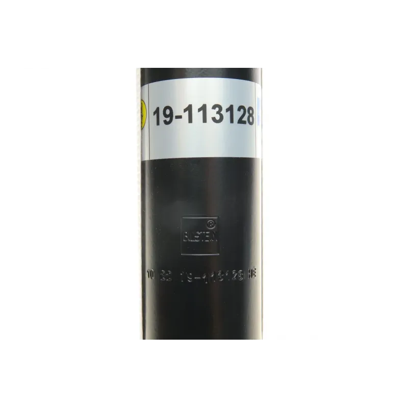 Амортизатор задній BILSTEIN 19-113128 для Citroen C4, Peugeot 307