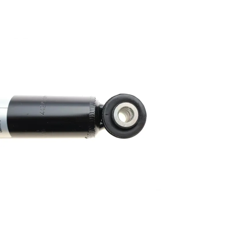 Амортизатор задній BILSTEIN 19-223322 для Renault Laguna II 2001-, задній