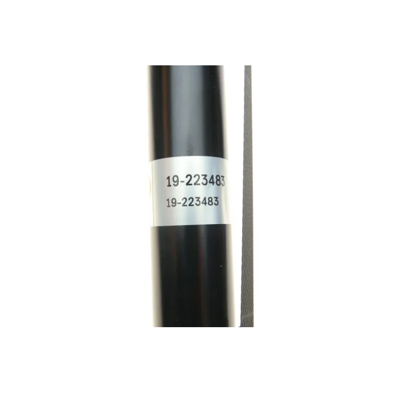 Амортизатор задній BILSTEIN 19-223483 для Dacia Duster, Renault Duster 2010-