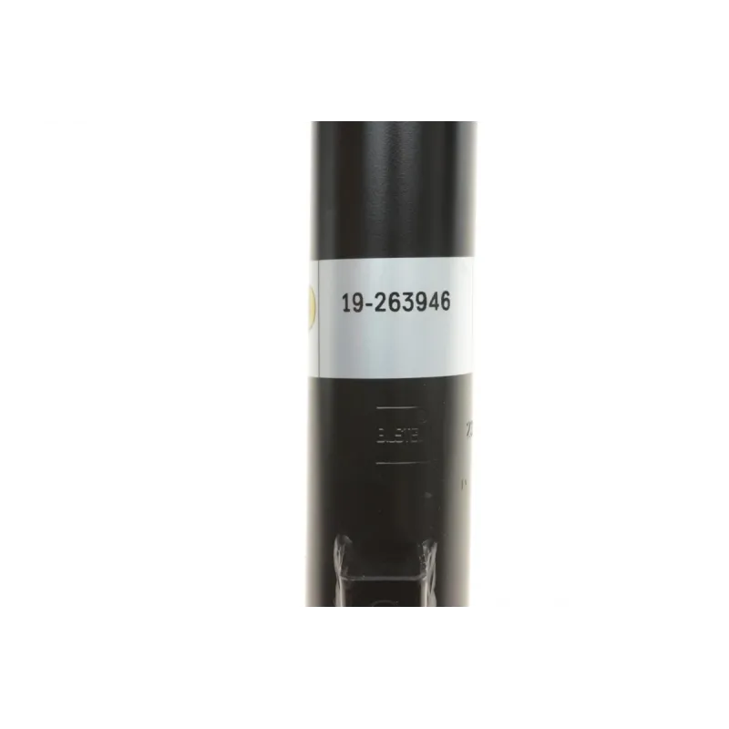 Амортизатор задній BILSTEIN 19-263946 для Hyundai Santa Fe III DM 2012-
