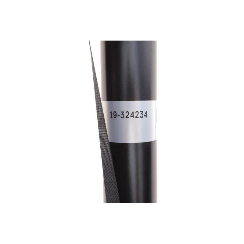 Амортизатор задній BILSTEIN 19-324234 для Nissan Leaf Electric 2010-