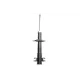 Амортизатор передній BILSTEIN 22-046734 для Fiat Scudo, Citroen Jumpy, Peugeot Expert 1996-2006