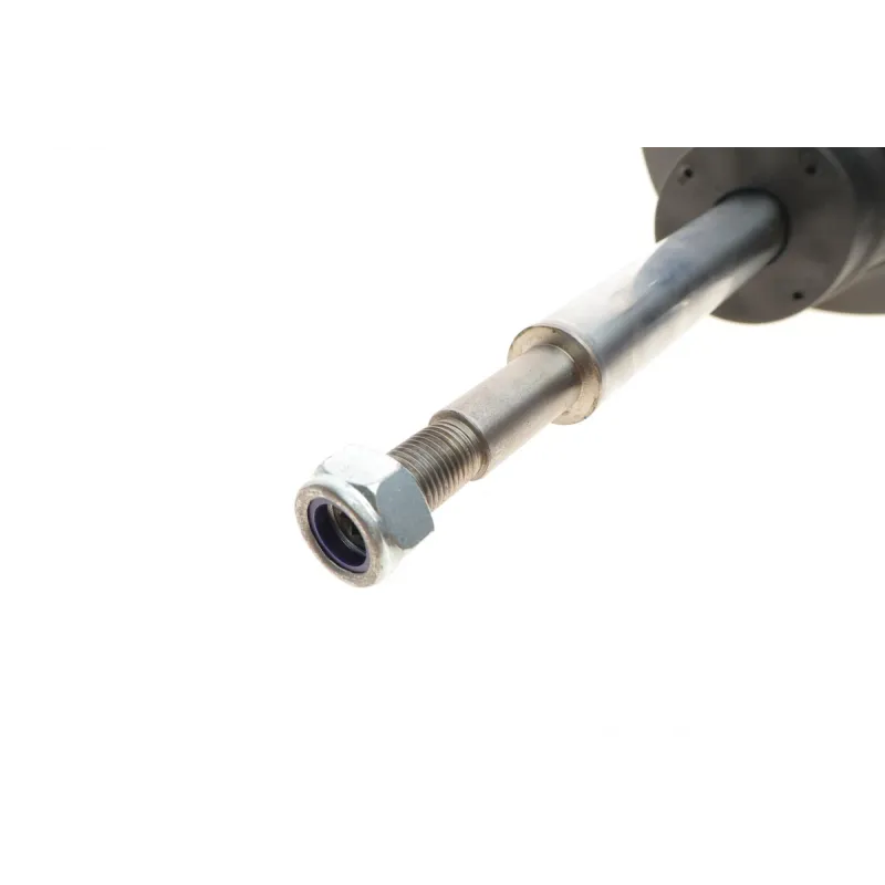 Амортизатор передній правий BILSTEIN 22-119261 для BMW X5 E53 2000-2007