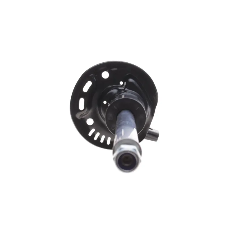Амортизатор (передній) VW Caddy III/IV 03- d=55mm(B4)