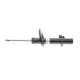 Амортизатор (передній) Peugeot 207/Citroen C3 1.4/1.6HDi/VTi 06- (L) (B4)