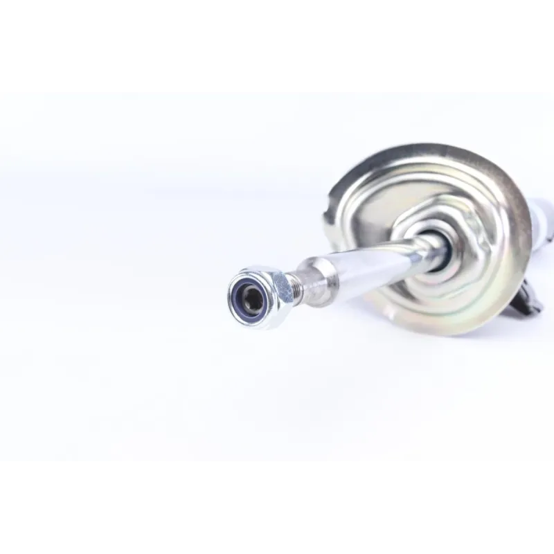 Амортизатор передній лівий BILSTEIN 22-220578 для BMW 3 (E46) 2000-2005