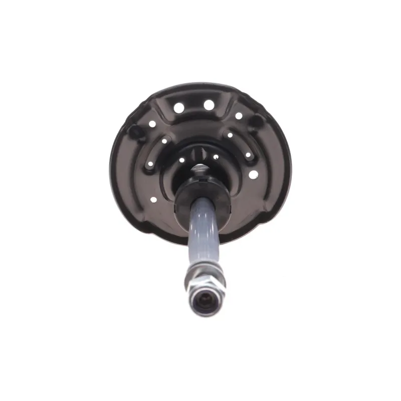 Амортизатор передній BILSTEIN 22-277275 для Renault Scenic IV (J9_) 2016-