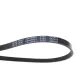 Ремінь генератора Suzuki Swift 1.0i 95-05/ Honda Civic 1.4-1.6 94-01/ Nissan Primera1.6-2.0 96-02
