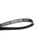 Ремінь генератора BLUE PRINT AD04R890 4PK890 для Audi 80, Kia Carens, Sportage 890 мм