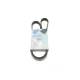 Ремінь генератора Peugeot 605 2.0 89-99/ Ford Fiesta1.8 95-03/ Honda Civic/ Fit/ Jazz 1.2-1.4 02-